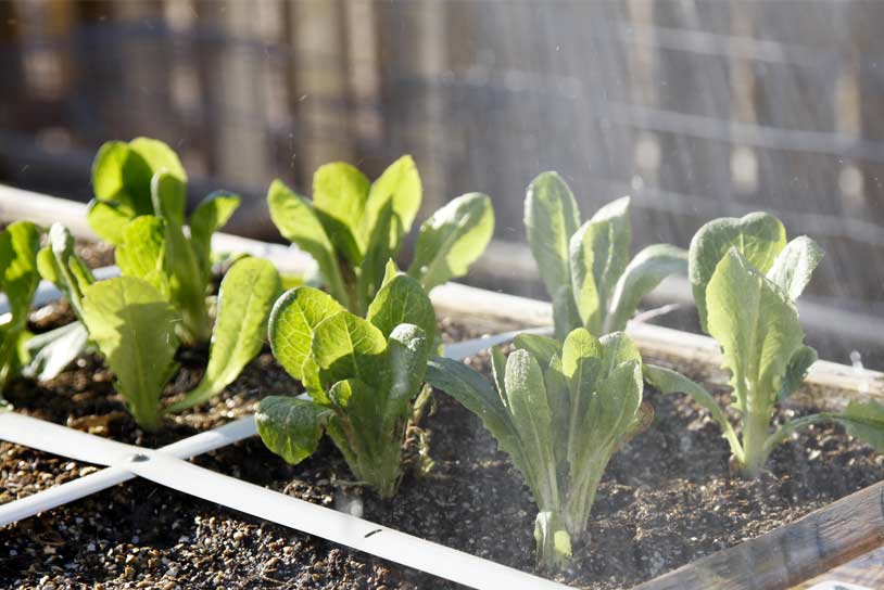 Jardinière à croisillons